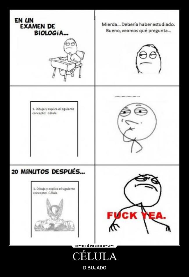 CÉLULA - DIBUJADO