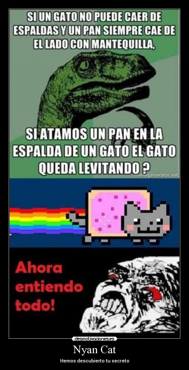 Nyan Cat - Hemos descubierto tu secreto