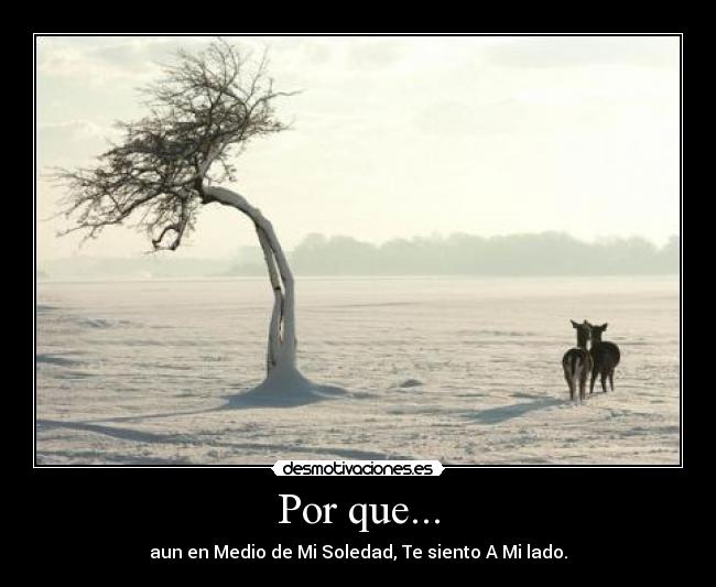 Por que... - aun en Medio de Mi Soledad, Te siento A Mi lado.