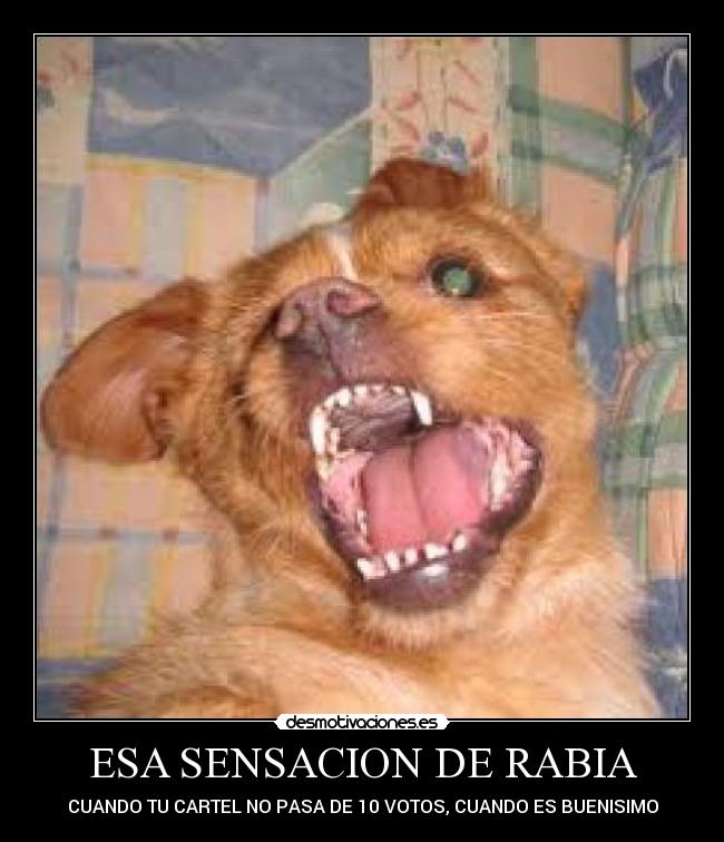 carteles hay que joderse desmotivaciones