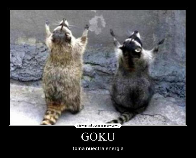 GOKU -