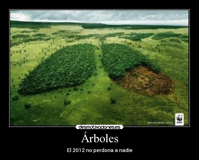carteles arboles desmotivaciones