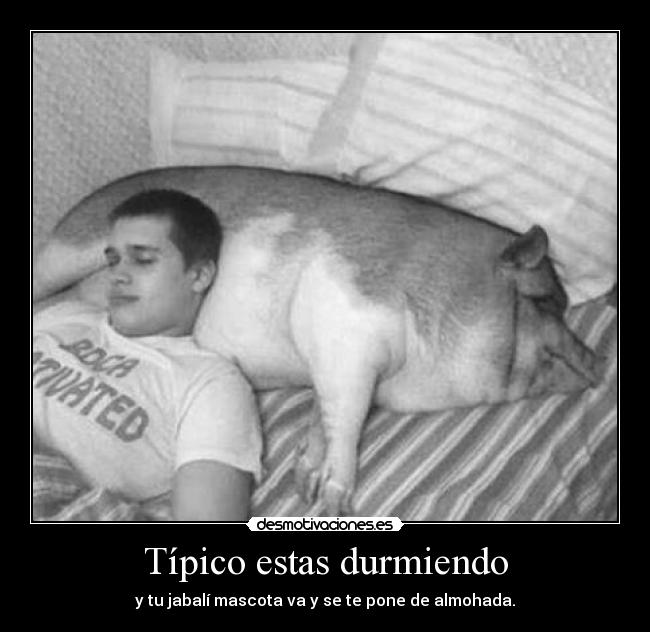 Típico estas durmiendo -