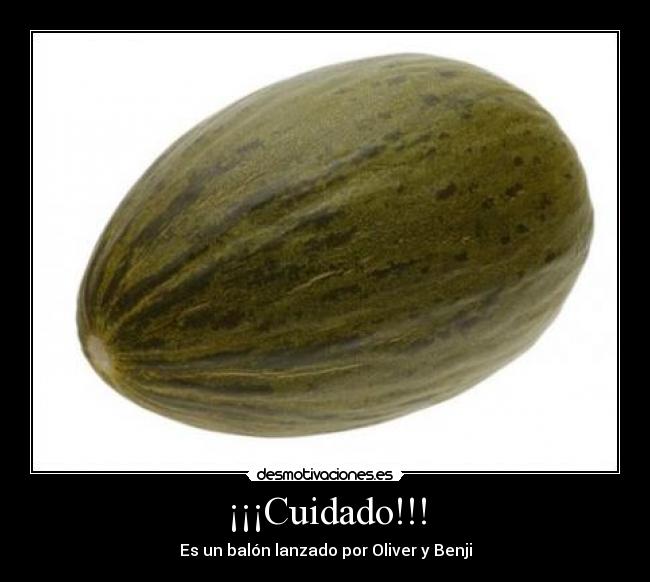 carteles melooooooon desmotivaciones