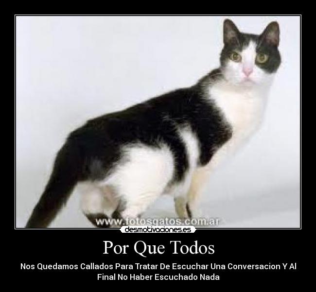 carteles lallal desmotivaciones