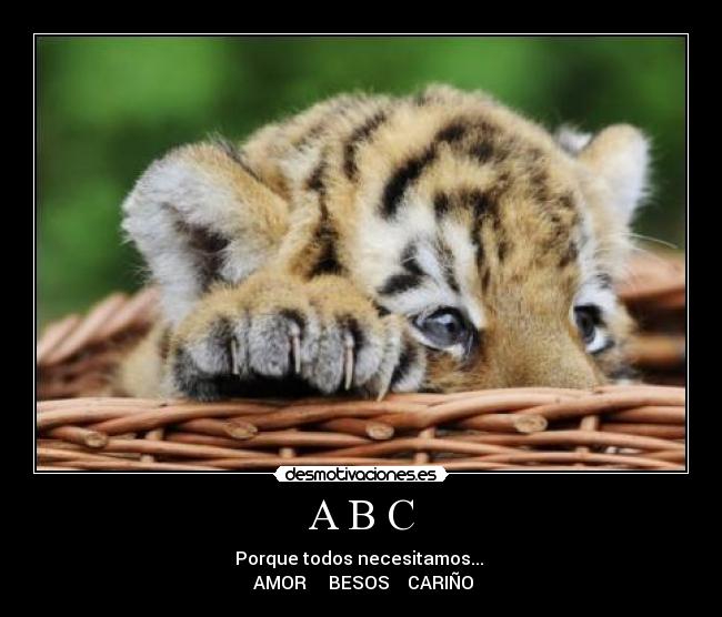 carteles abc tigre tierno amor besos carino yannii01 desmotivaciones