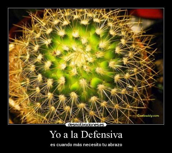 Yo a la Defensiva - 