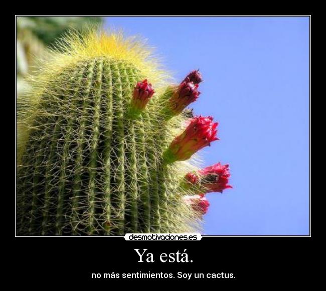 Ya está. - no más sentimientos. Soy un cactus.