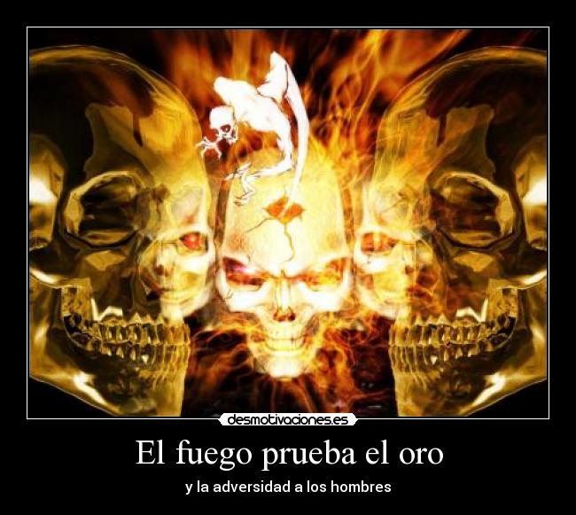 carteles lucha desmotivaciones