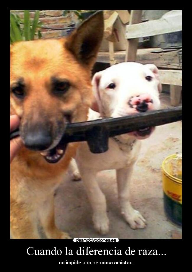 carteles amistad desmotivaciones