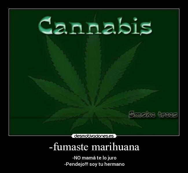 -fumaste marihuana -