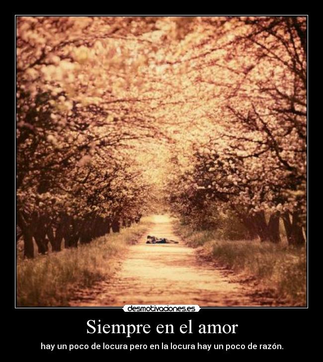 Siempre en el amor -