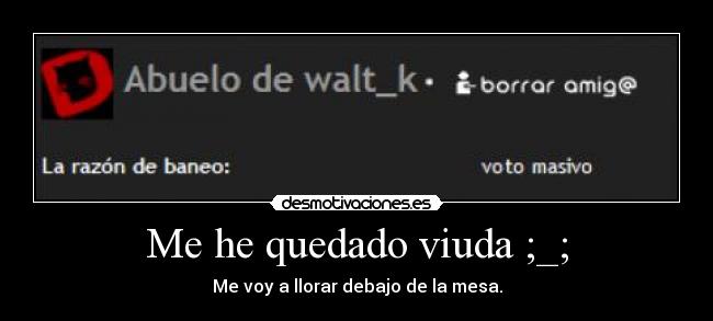 Me he quedado viuda ;_; - 