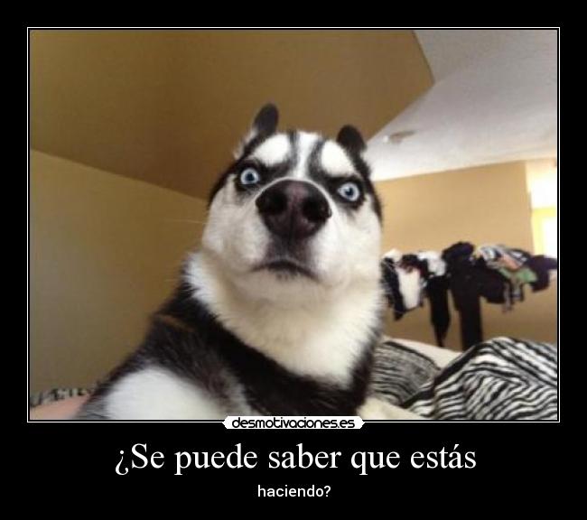 carteles laralalaalalaaaaaaa desmotivaciones