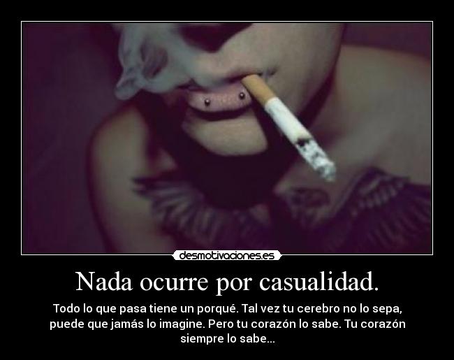 carteles saber casualidad cerebro desmotivaciones