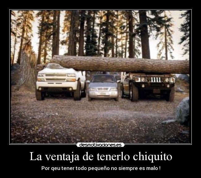 La ventaja de tenerlo chiquito -