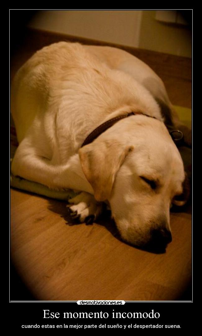 Ese momento incomodo - cuando estas en la mejor parte del sueño y el despertador suena.