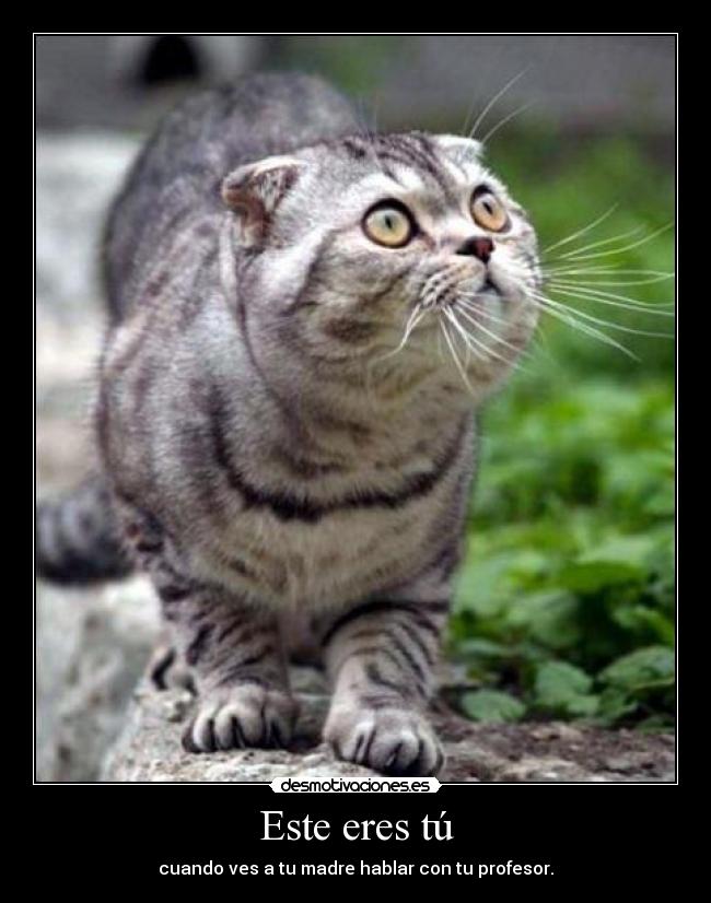 Este eres tú - cuando ves a tu madre hablar con tu profesor.
