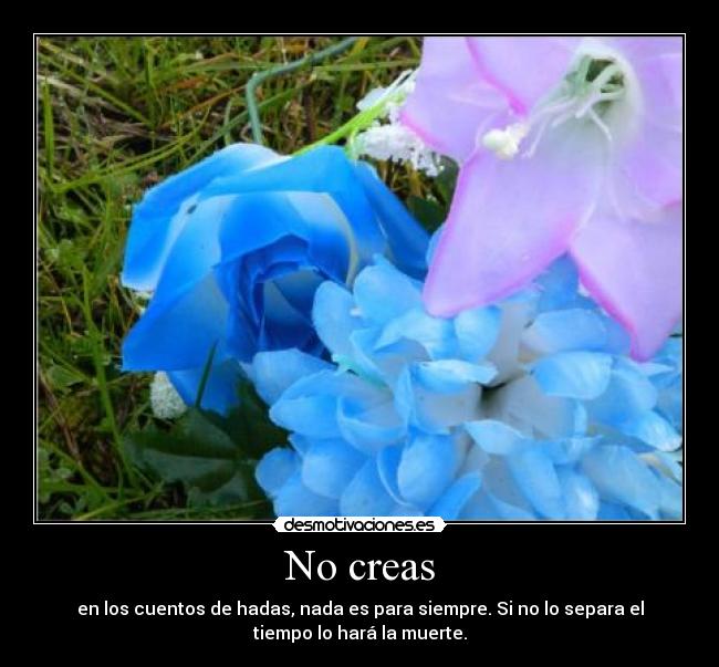 No creas - en los cuentos de hadas, nada es para siempre. Si no lo separa el
tiempo lo hará la muerte.