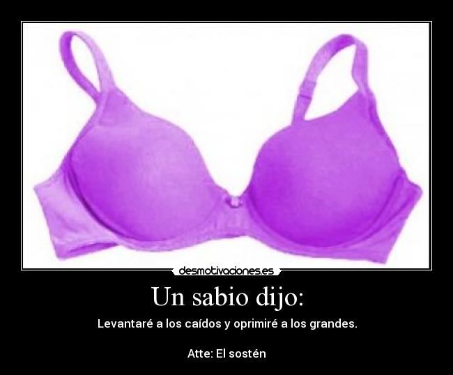 Un sabio dijo: - Levantaré a los caídos y oprimiré a los grandes.

Atte: El sostén