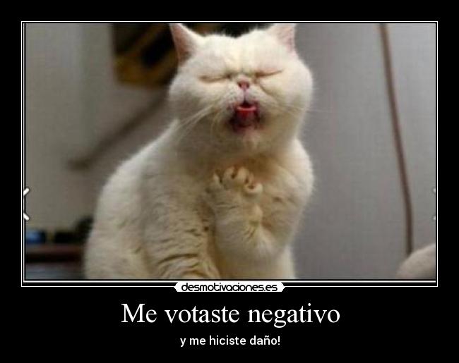 Me votaste negativo -