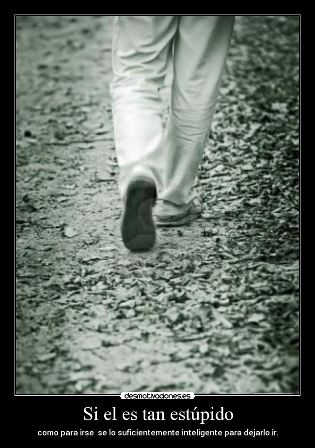Si el es tan estúpido - como para irse se lo suficientemente inteligente para dejarlo ir.
