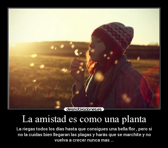carteles amistad amistad como una planta desmotivaciones