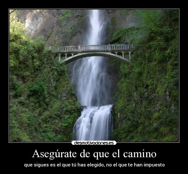 Asegúrate de que el camino - que sigues es el que tú has elegido, no el que te han impuesto