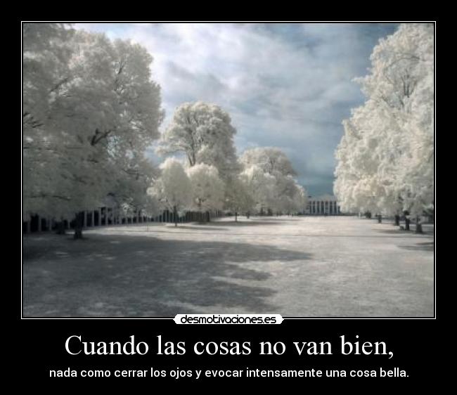 Cuando las cosas no van bien, - nada como cerrar los ojos y evocar intensamente una cosa bella.