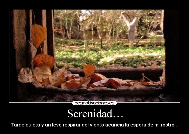 Serenidad… - Tarde quieta y un leve respirar del viento acaricia la espera de mi rostro…