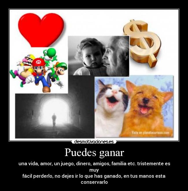 Puedes ganar - una vida, amor, un juego, dinero, amigos, familia etc. tristemente es muy
fácil perderlo, no dejes ir lo que has ganado, en tus manos esta conservarlo