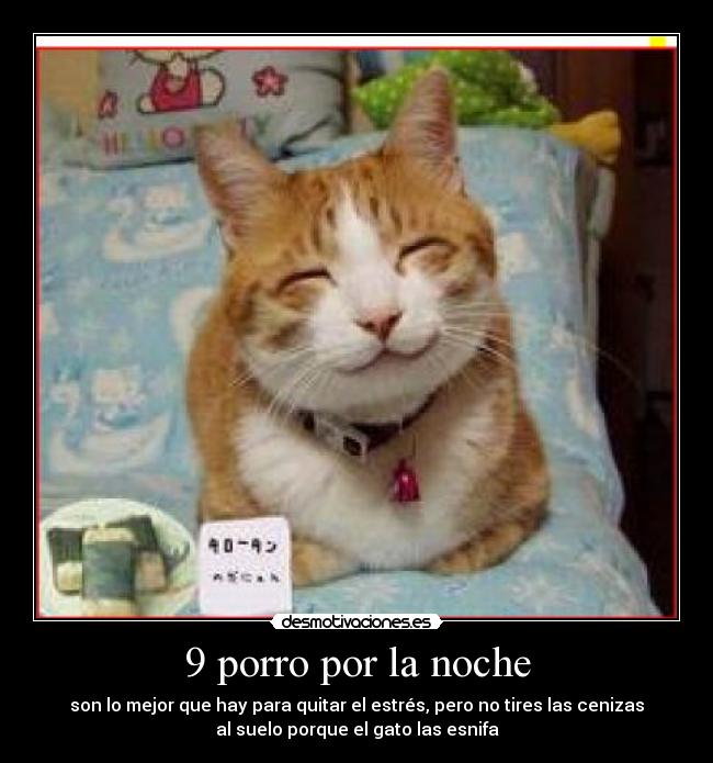 9 porro por la noche - son lo mejor que hay para quitar el estrés, pero no tires las cenizas
al suelo porque el gato las esnifa