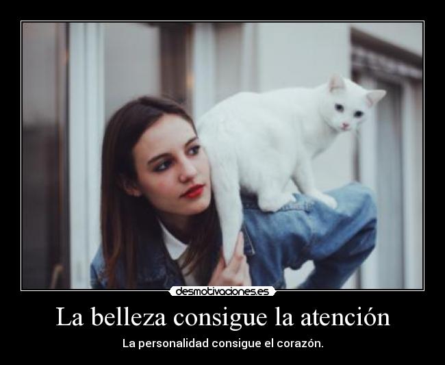 carteles papapitufo desmotivaciones