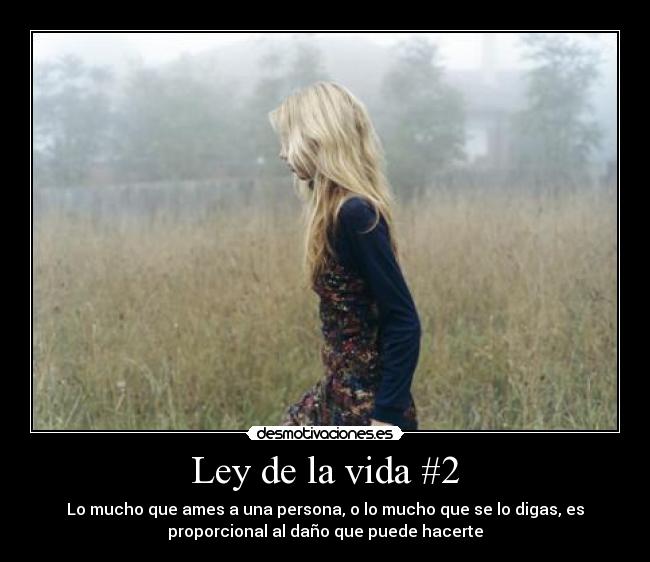 Ley de la vida #2 -