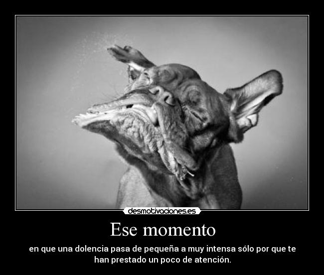 Ese momento -