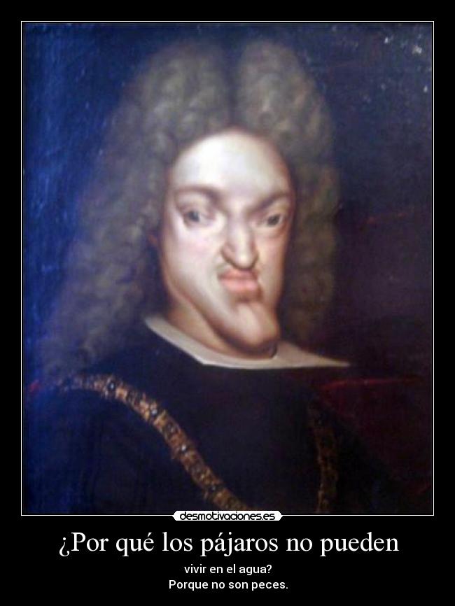 ¿Por qué los pájaros no pueden -