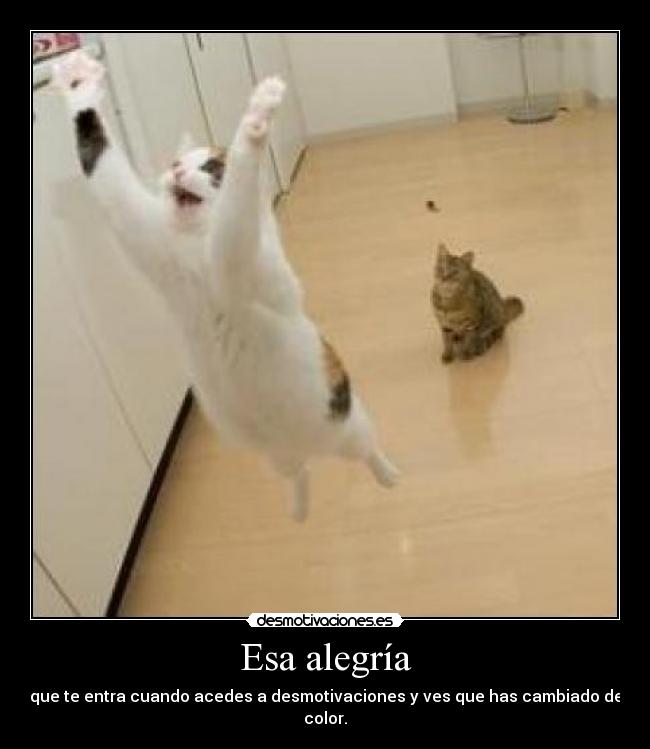 Esa alegría - que te entra cuando acedes a desmotivaciones y ves que has cambiado de color.