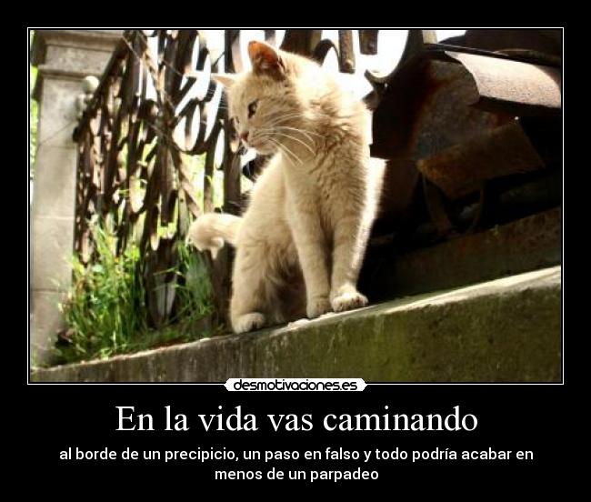 En la vida vas caminando -