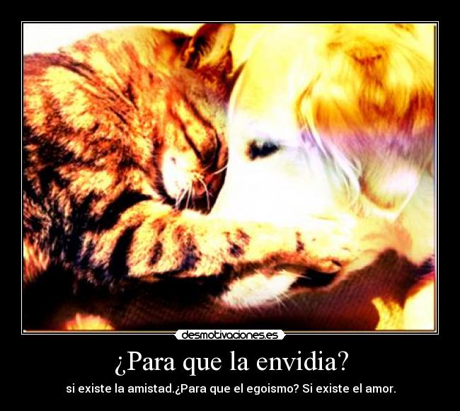 ¿Para que la envidia? - si existe la amistad.¿Para que el egoismo? Si existe el amor.