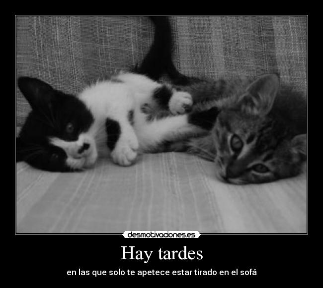 Hay tardes -