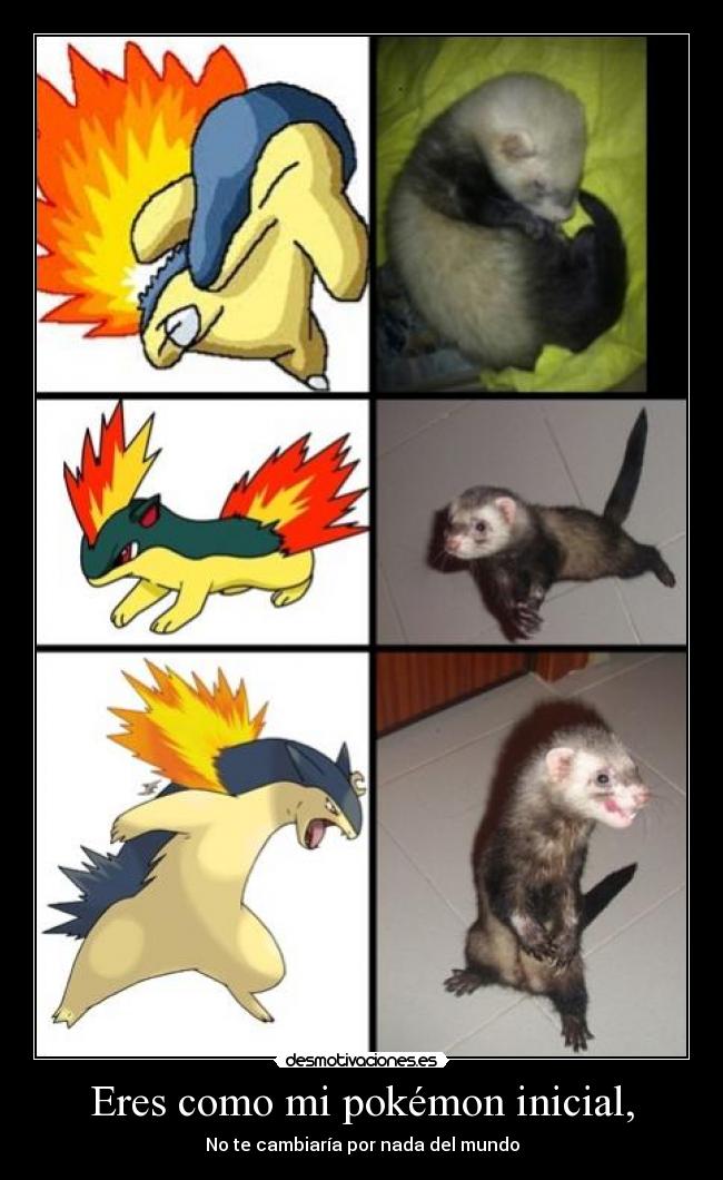 carteles pokemon cerbaplosion desmotivaciones