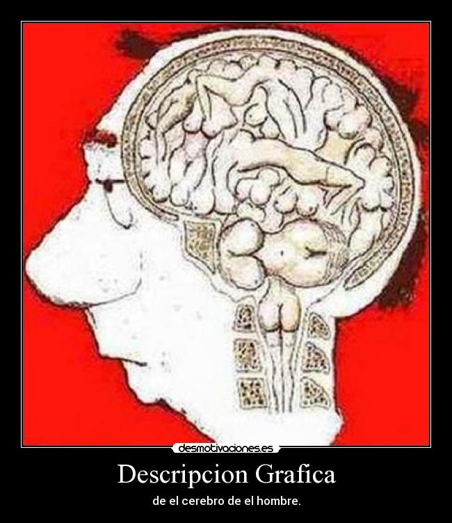 Descripcion Grafica - 