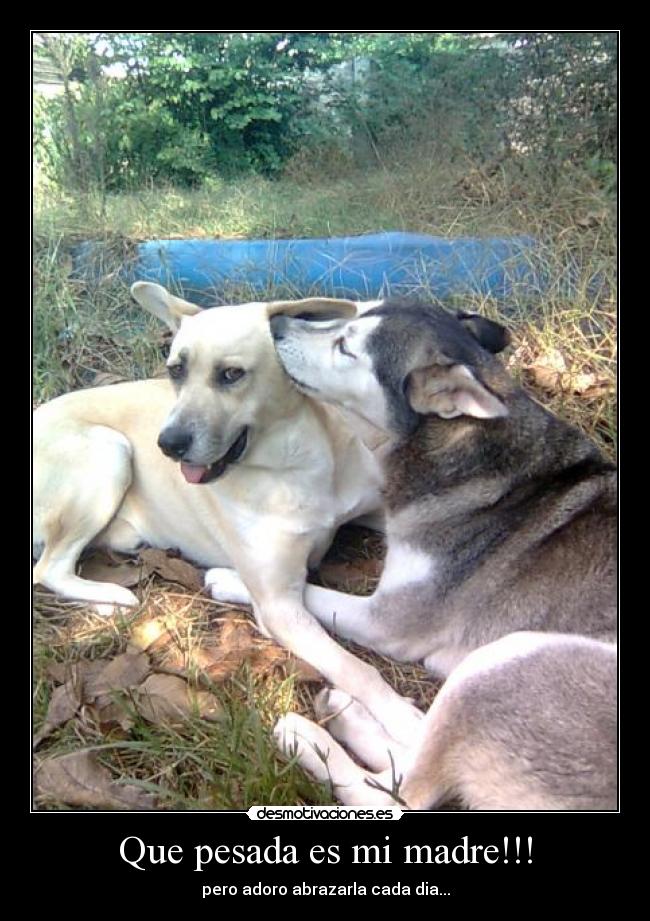 Que pesada es mi madre!!! -