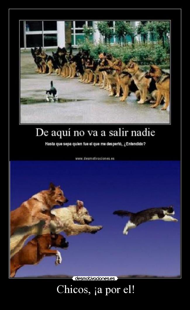 Chicos, ¡a por el! - 