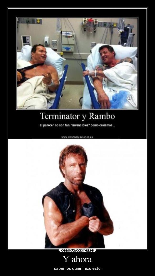 carteles chuck rambo terminator desmotivaciones