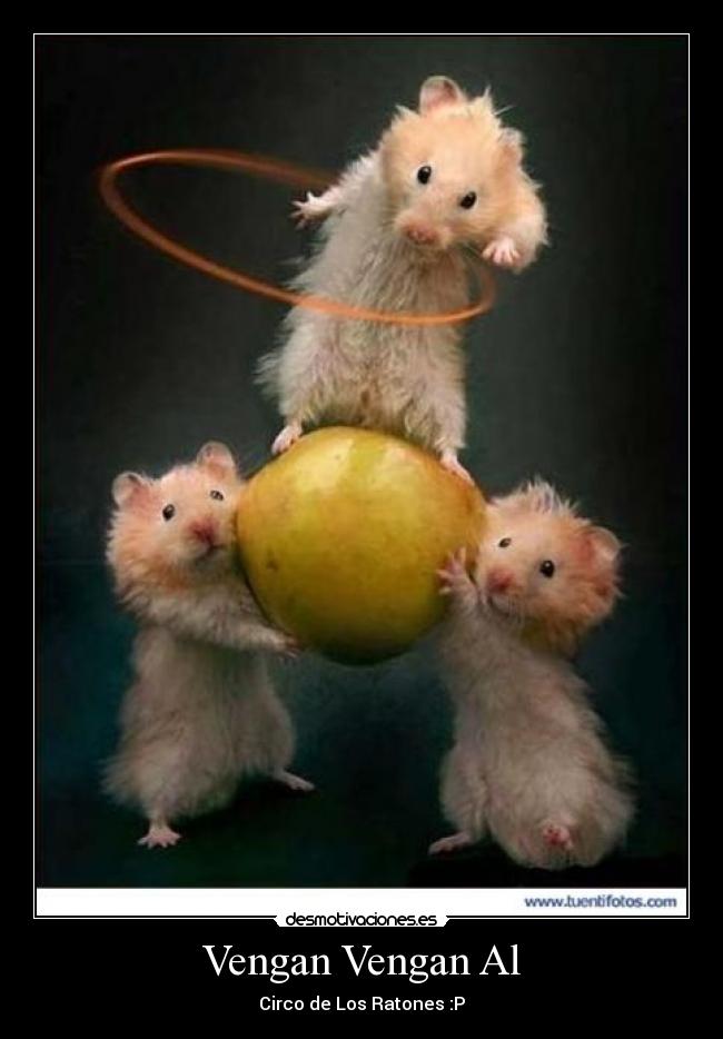 Vengan Vengan Al - Circo de Los Ratones :P