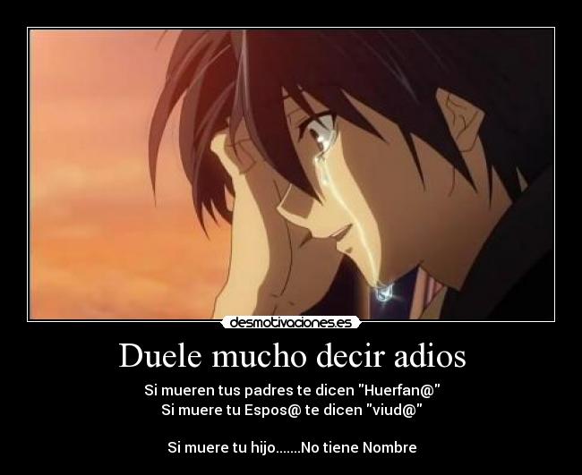 Duele mucho decir adios - Si mueren tus padres te dicen Huerfan@
Si muere tu Espos@ te dicen viud@
Si muere tu hijo.......No tiene Nombre