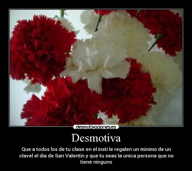 Desmotiva - Que a todos los de tu clase en el insti le regalen un minimo de un
clavel el dia de San Valentin y que tu seas la unica persona que no
tiene ninguno