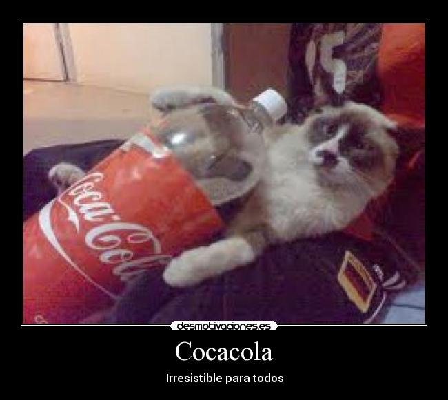 Cocacola - 