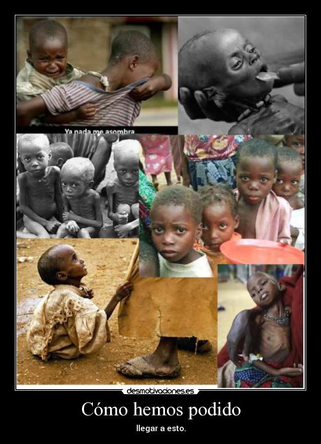 Cómo hemos podido - 